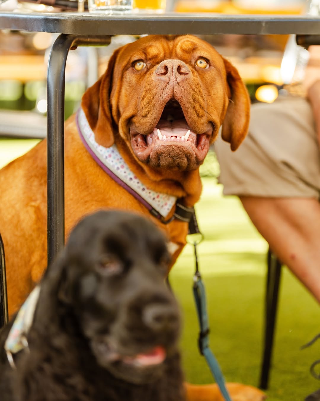 Welcome To Brunswick